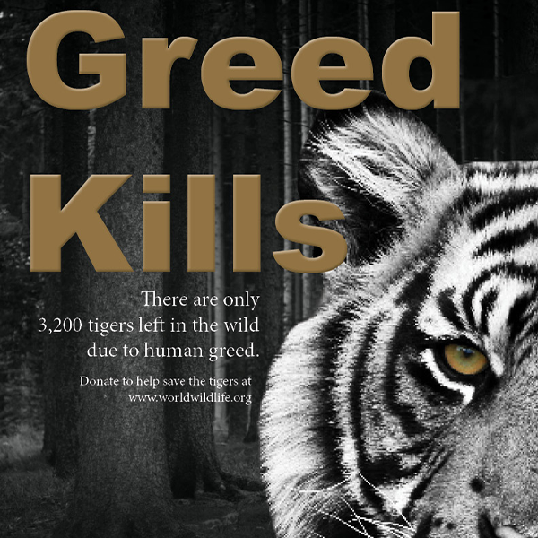 Greed Kills_thumbnail